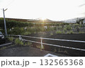 駐輪場に差す日差し 駐輪場に差す日差し 132565368