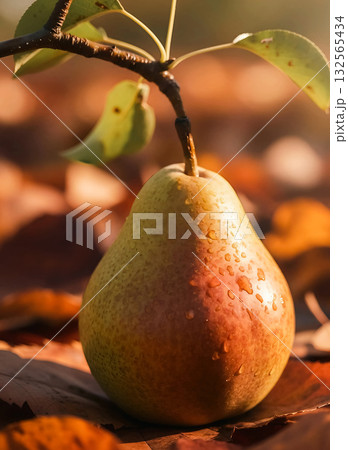 A Symbol of Autumn's Abundance. A Symbol of Autumn's Abundance. 132565434