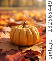 Golden Glowing Gourd in Fall Foliage. 132565449