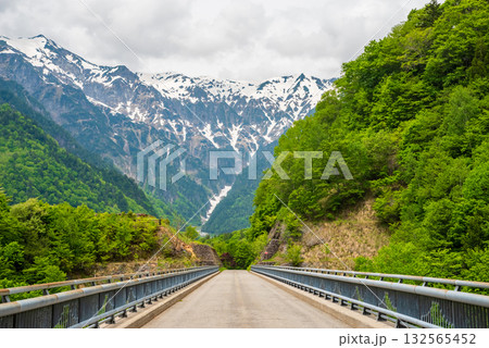 新緑の北アルプス大橋《岐阜県 高山市 奥飛騨温泉郷》 132565452