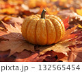 A Symbol of Autumn and Harvest. 132565454
