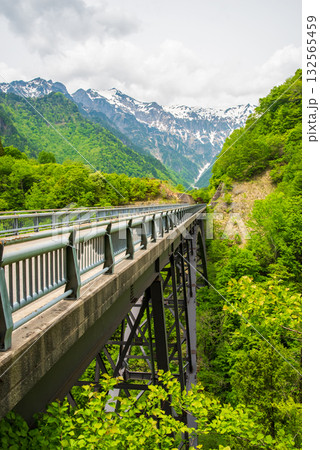 新緑の北アルプス大橋《岐阜県 高山市 奥飛騨温泉郷》 新緑の北アルプス大橋《岐阜県 高山市 奥飛騨温泉郷》 132565459