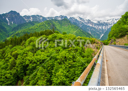 新緑の北アルプス大橋《岐阜県 高山市 奥飛騨温泉郷》 新緑の北アルプス大橋《岐阜県 高山市 奥飛騨温泉郷》 132565465