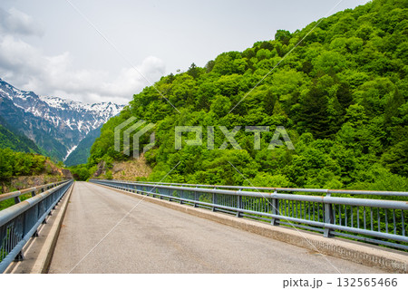 新緑の北アルプス大橋《岐阜県 高山市 奥飛騨温泉郷》 132565466