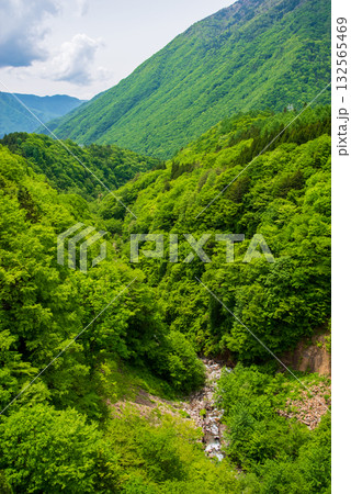 北アルプス大橋からの絶景《岐阜県 高山市 奥飛騨温泉郷》 北アルプス大橋からの絶景《岐阜県 高山市 奥飛騨温泉郷》 132565469