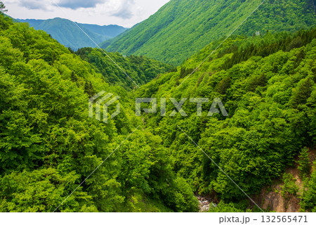 北アルプス大橋からの絶景《岐阜県 高山市 奥飛騨温泉郷》 北アルプス大橋からの絶景《岐阜県 高山市 奥飛騨温泉郷》 132565471
