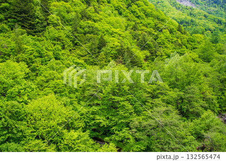 北アルプス大橋からの絶景《岐阜県 高山市 奥飛騨温泉郷》 北アルプス大橋からの絶景《岐阜県 高山市 奥飛騨温泉郷》 132565474