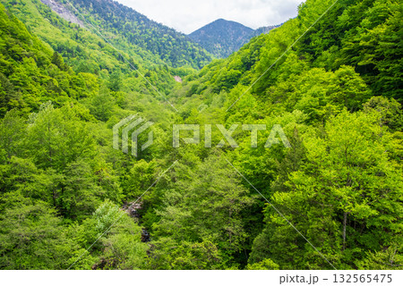 北アルプス大橋からの絶景《岐阜県 高山市 奥飛騨温泉郷》 北アルプス大橋からの絶景《岐阜県 高山市 奥飛騨温泉郷》 132565475