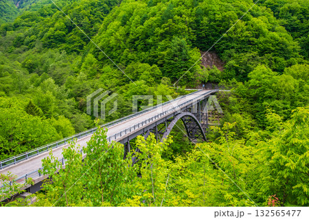 新緑の北アルプス大橋《岐阜県 高山市 奥飛騨温泉郷》 132565477