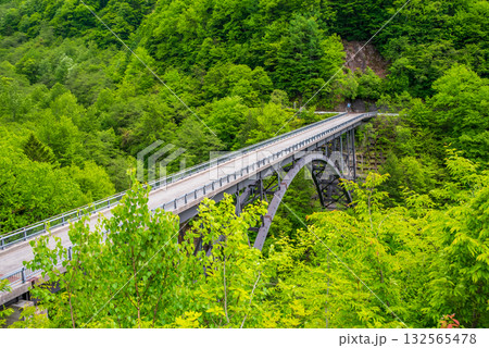 新緑の北アルプス大橋《岐阜県 高山市 奥飛騨温泉郷》 132565478