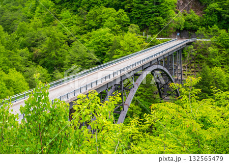新緑の北アルプス大橋《岐阜県 高山市 奥飛騨温泉郷》 132565479