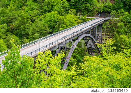 新緑の北アルプス大橋《岐阜県 高山市 奥飛騨温泉郷》 132565480