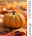 Atmospheric Image of Autumn with Pumpkin. 132565481