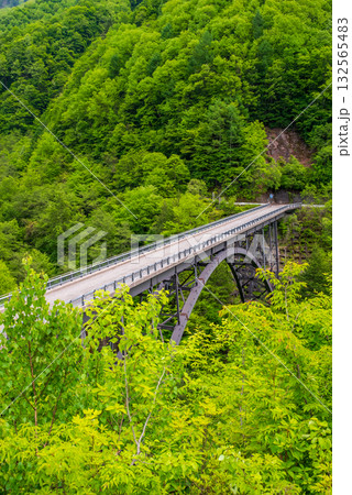 新緑の北アルプス大橋《岐阜県 高山市 奥飛騨温泉郷》 132565483