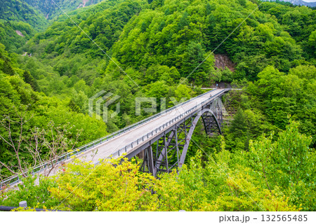 新緑の北アルプス大橋《岐阜県 高山市 奥飛騨温泉郷》 132565485