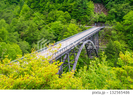 新緑の北アルプス大橋《岐阜県 高山市 奥飛騨温泉郷》 132565486