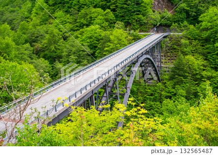 新緑の北アルプス大橋《岐阜県 高山市 奥飛騨温泉郷》 132565487