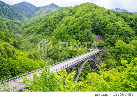 新緑の北アルプス大橋《岐阜県 高山市 奥飛騨温泉郷》 132565489