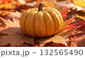 Small Pumpkin on a Bed of Leaves. 132565490