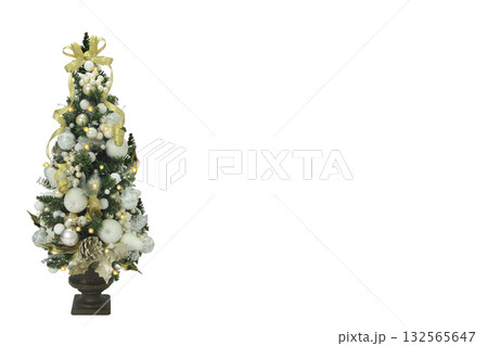 クリスマスツリー クリスマスツリー 132565647