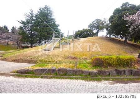 新地公園_愛知県知立_2025年 132565708