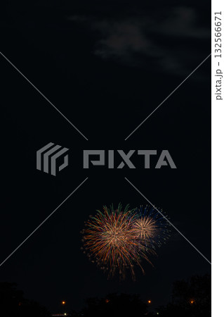 浜松市の中野町煙火大会の風景(静岡県) 浜松市の中野町煙火大会の風景(静岡県) 132566671