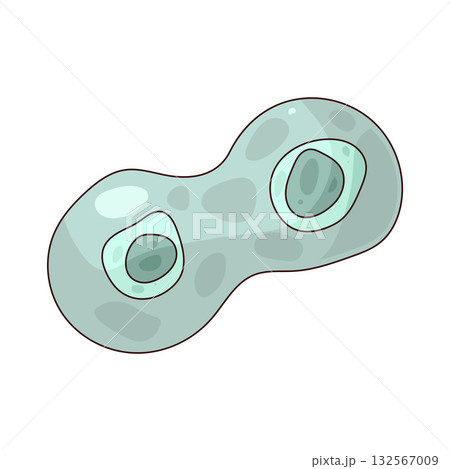 illustration of Cell Division 132567009