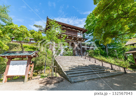 秋田県秋田市　千秋公園　久保田城表門（一ノ門） 132567043