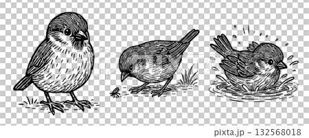 スズメのしぐさを描いたペン画イラストセット、Pen Drawing Set of Sparrow  132568018
