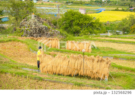 リアルな案山子と姪石の石仏と稲架掛けの風景【姨捨の棚田】 132568296
