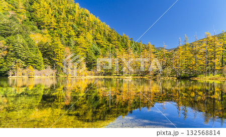 秋の上高地・明神池の絶景 青空に映える紅葉リフレクション【長野県・松本市】 秋の上高地・明神池の絶景 青空に映える紅葉リフレクション【長野県・松本市】 132568814