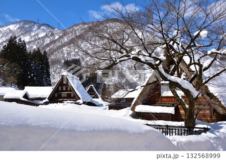 冬　五箇山　菅沼合掌集落 132568999