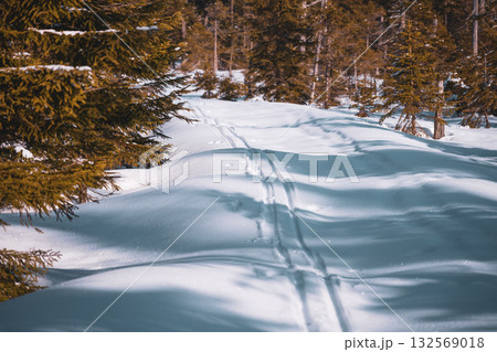 A scenic backcountry skiing trail is visible under the bright sun. The snowy path winds through tall trees, offering a perfect spot for leisure and outdoor activity in winter. 132569018