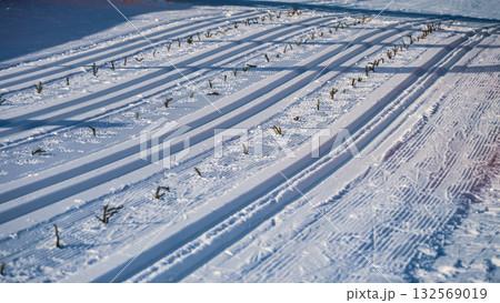 Bright sunlight illuminates freshly groomed cross-country skiing tracks on a snowy landscape. The scene shows the tracks winding through the winter wonderland, inviting outdoor enthusiasts. Bright sunlight illuminates freshly groomed cross-country skiing tracks on a snowy landscape. The scene shows the tracks winding through the winter wonderland, inviting outdoor enthusiasts. 132569019