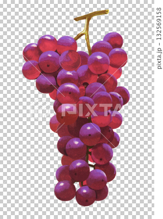 葡萄的例證 132569158