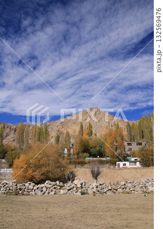 Chhamkang Ri, peak in Leh and trees in autumn, India. 132569476