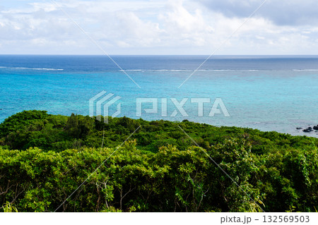 石垣島で見つけた南国の豊かな大自然を感じる風景 132569503