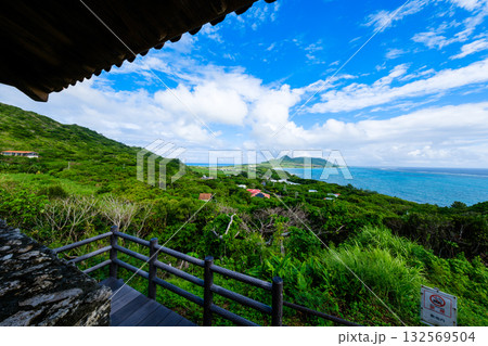 石垣島で見つけた南国の豊かな大自然を感じる風景 石垣島で見つけた南国の豊かな大自然を感じる風景 132569504