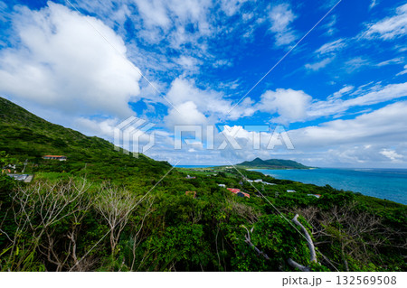 石垣島で見つけた南国の豊かな大自然を感じる風景 石垣島で見つけた南国の豊かな大自然を感じる風景 132569508