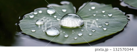 Water Droplets on Green Lily Pad Nature Macro Photography Dew Wet Leaf Pure Life Plant Fresh Clean 132570344