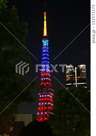 アメリカ色にライトアップされた夜の東京タワー 10月港区1951祝トランプ来日・東京タワー大門付近 アメリカ色にライトアップされた夜の東京タワー 10月港区1951祝トランプ来日・東京タワー大門付近 132571173