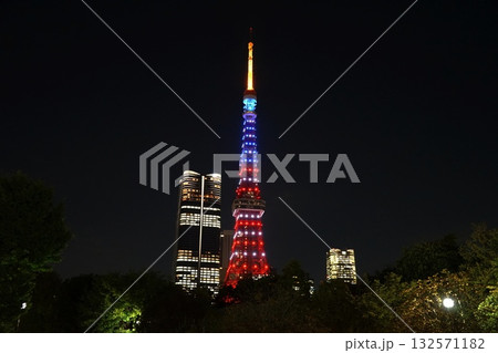アメリカ色にライトアップされた夜の東京タワー　10月港区1960祝トランプ来日・東京タワー芝公園 132571182