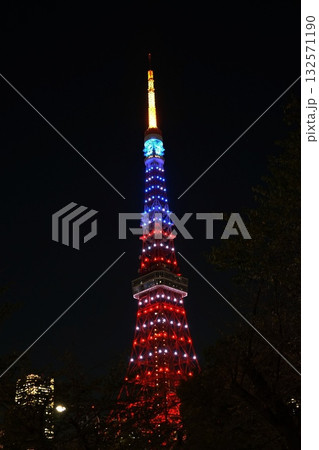 アメリカ色にライトアップされた夜の東京タワー　10月港区1968祝トランプ来日の東京タワーザプリンス 132571190