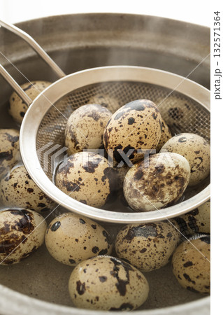うずらの卵を茹でる　うずら卵のゆで卵 132571364
