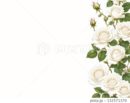 シックな白いバラの背景 132571370