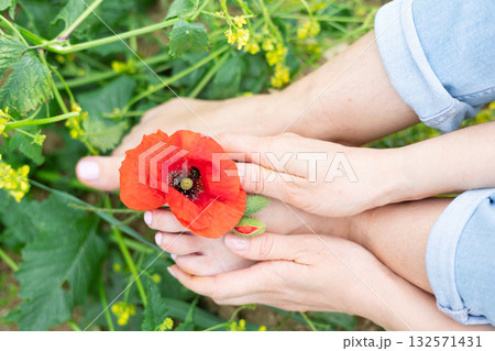 Female hands gently holding a vibrant red poppy flower over a child's barefoot, symbolizing a connection with nature, tenderness, and maternal care amidst green foliage Female hands gently holding a vibrant red poppy flower over a child's barefoot, symbolizing a connection with nature, tenderness, and maternal care amidst green foliage 132571431