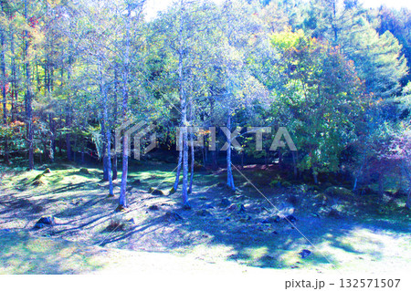 秋の散歩道 132571507