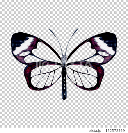 Elegant butterfly with transparent wings, black and violet details. Hand-painted watercolor illustration isolated on white. Perfect for nature designs, stationery, patterns, and botanical projects Elegant butterfly with transparent wings, black and violet details. Hand-painted watercolor illustration isolated on white. Perfect for nature designs, stationery, patterns, and botanical projects 132572369