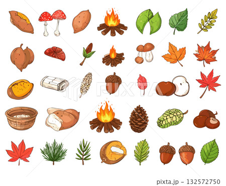 秋のカラフルなもみじ、芋、ドングリのイラストセット 132572750