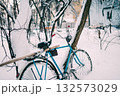 Blue Bicycle Leaning Against Snowy Tree in Quiet Winter Yard Exterior Scene 132573029